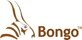 bongo2.png
